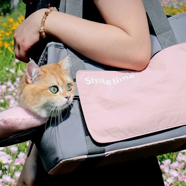 Smart Tote premium pet carry bag for cats and small dogs