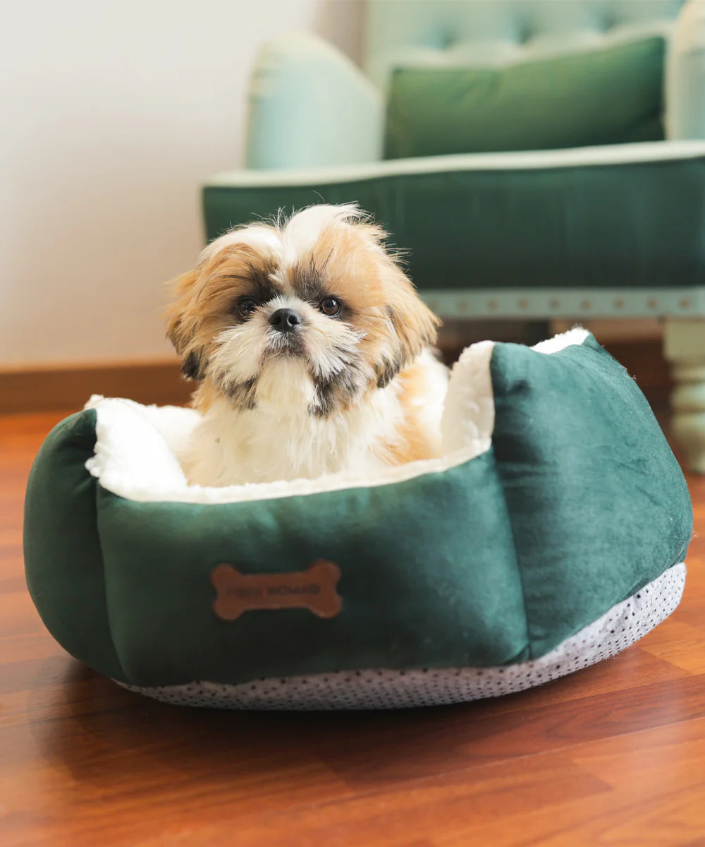 Luxury dog bed with soft cotton seat and embroidery – SnugShell Petspalz