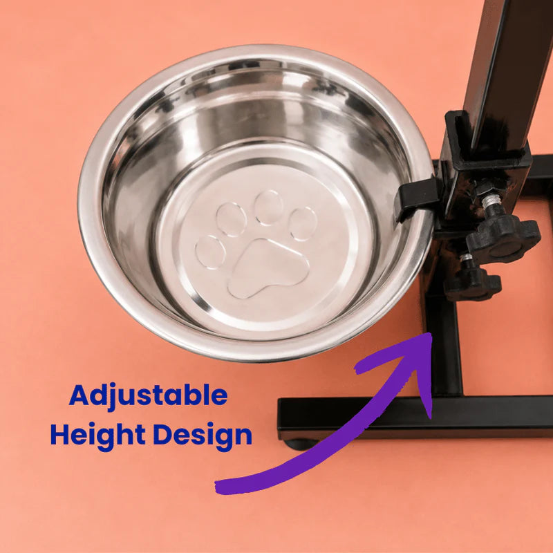 stainless steel elevated dog feeder