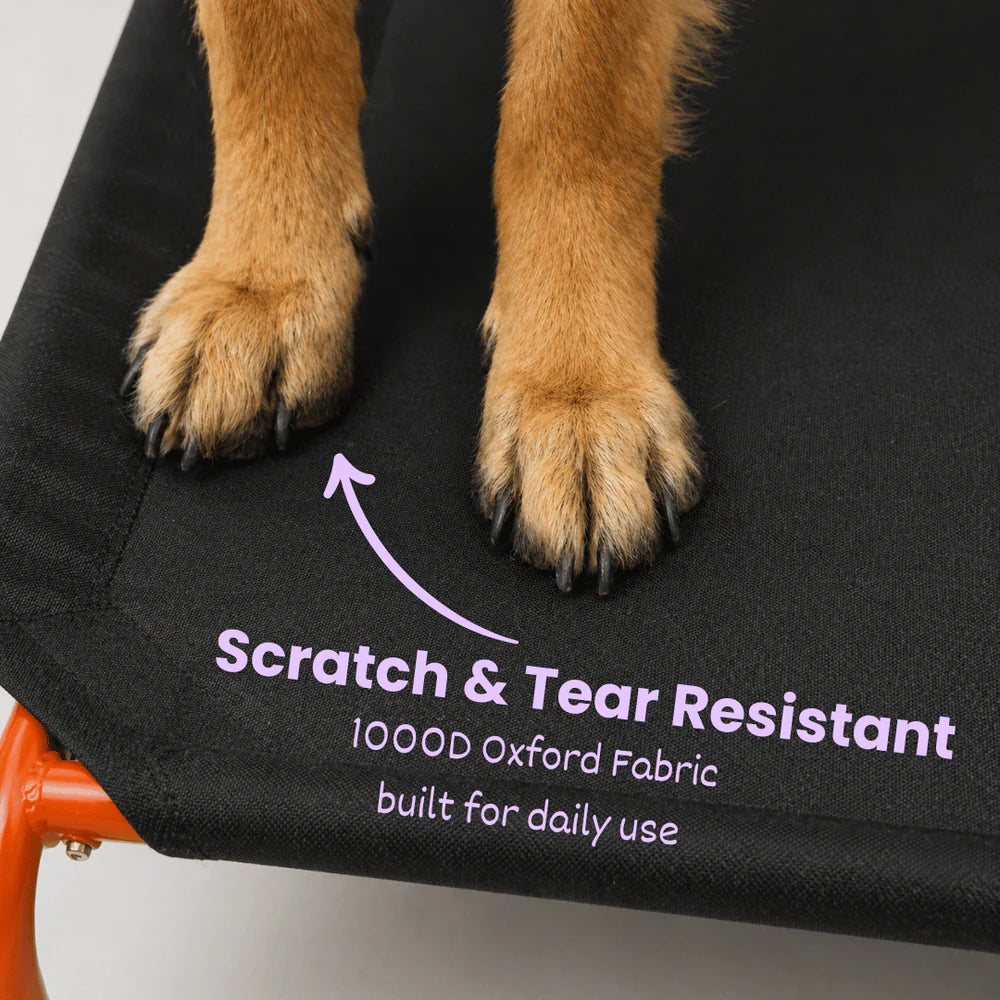 steel frame elevated pet bed