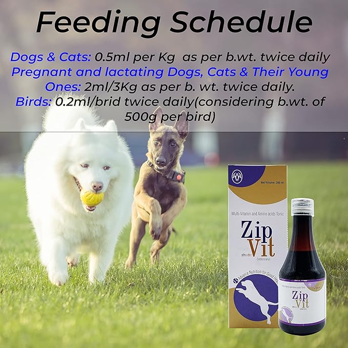 Immunity booster and appetite stimulant for pets – Petspalz